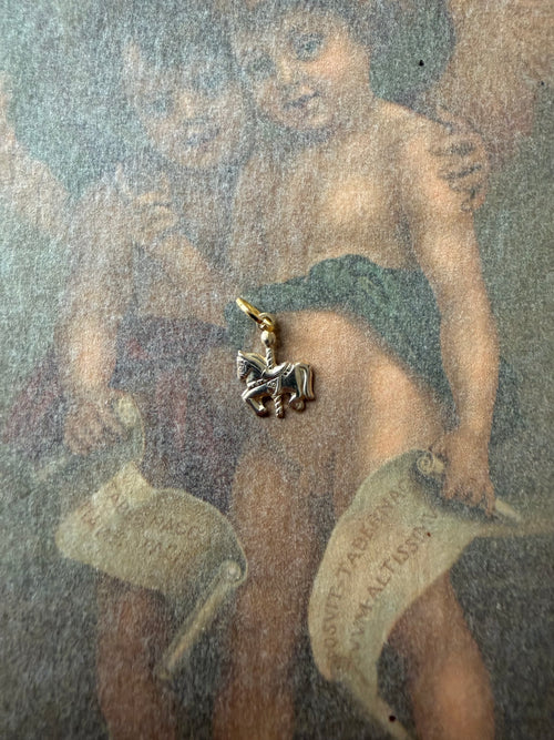 carousel pendant