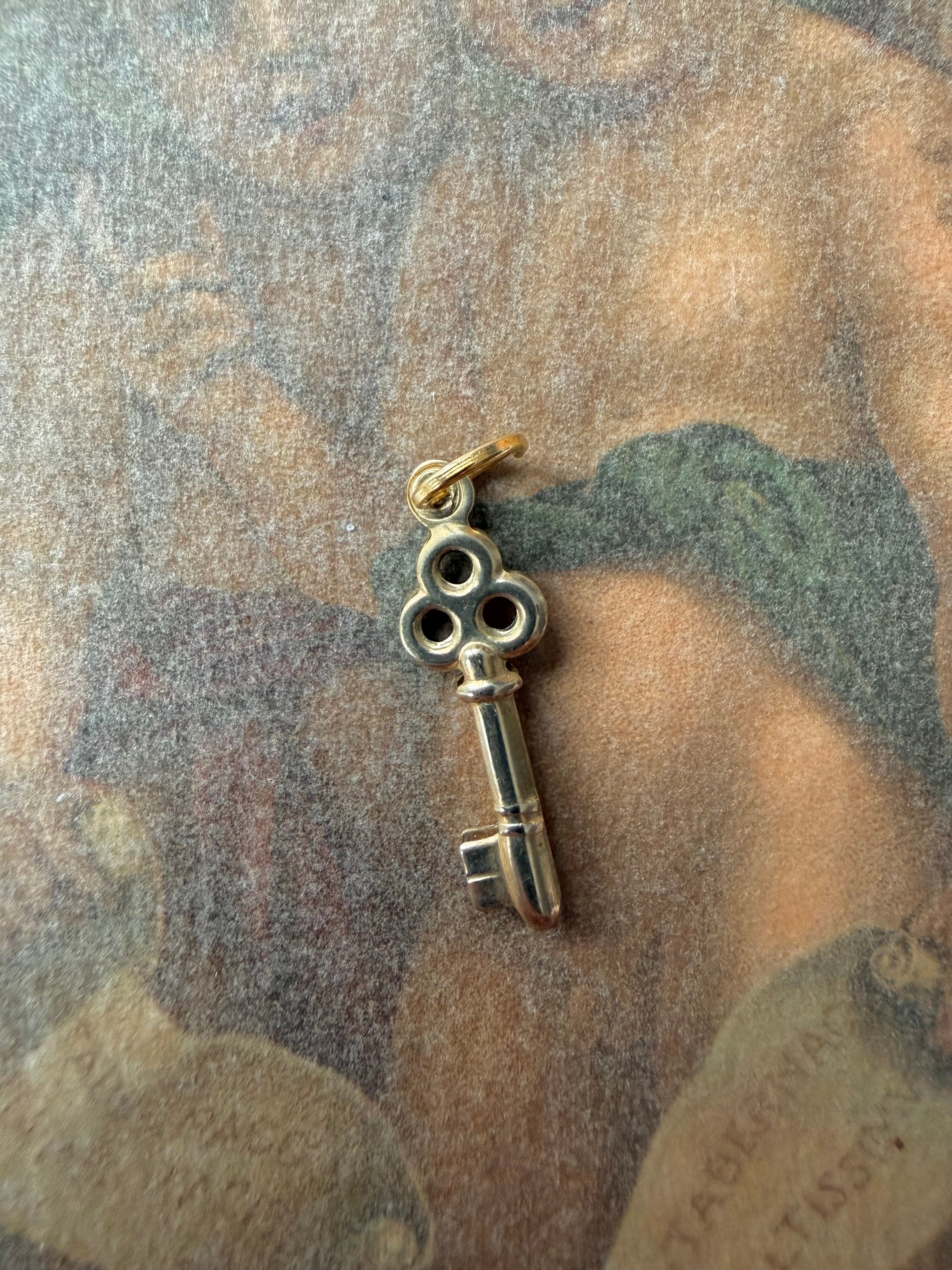 skeleton key pendant